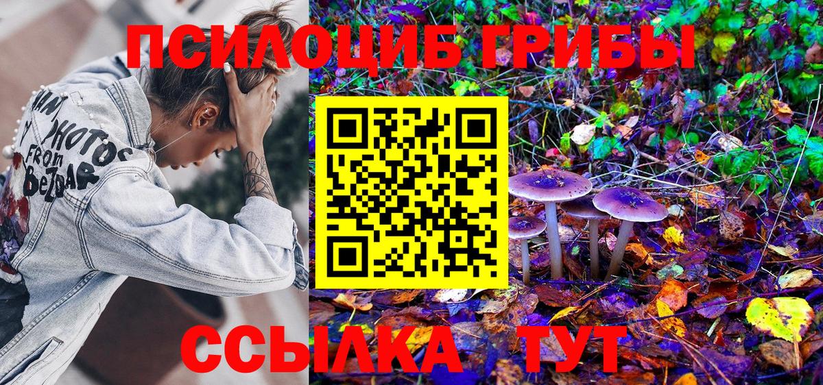 Псилоцибиновые грибы Psilocybine cubensis Ефремов