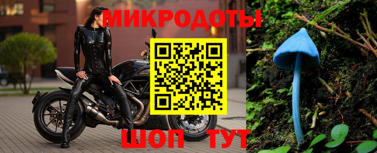 Псилоцибиновые грибы мицелий  Вход с VPN  Псилоцибиновые грибы Cubensis  Ефремов 